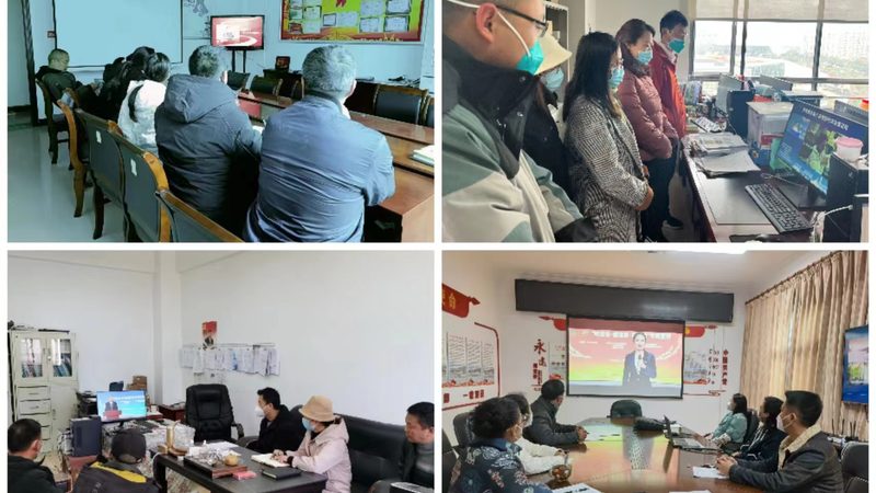 课件素材库：分类与对比，打造高效教学资源